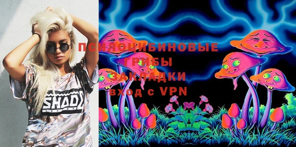 apvp Дмитров