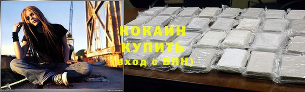 молекула духа Дмитриев