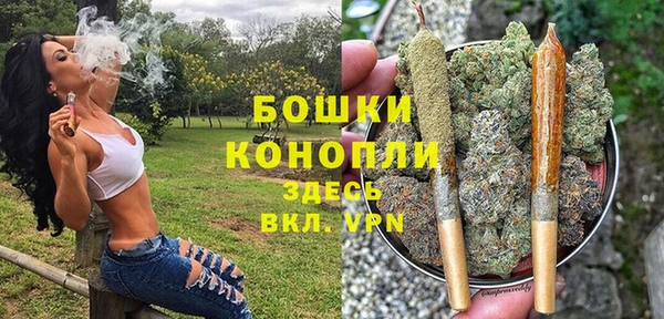 молекула духа Дмитриев
