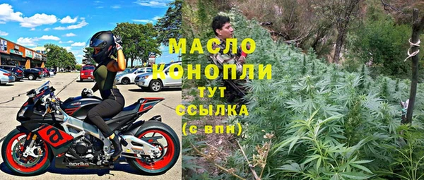 молекула духа Дмитриев