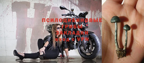 круглые Ельня