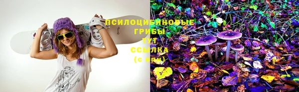 круглые Ельня